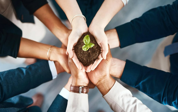 Changzhou Baonong Nova Materia Technologia Co., Ltd.